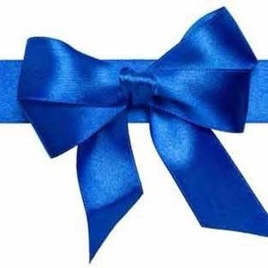 Meet your Posher, Joyce